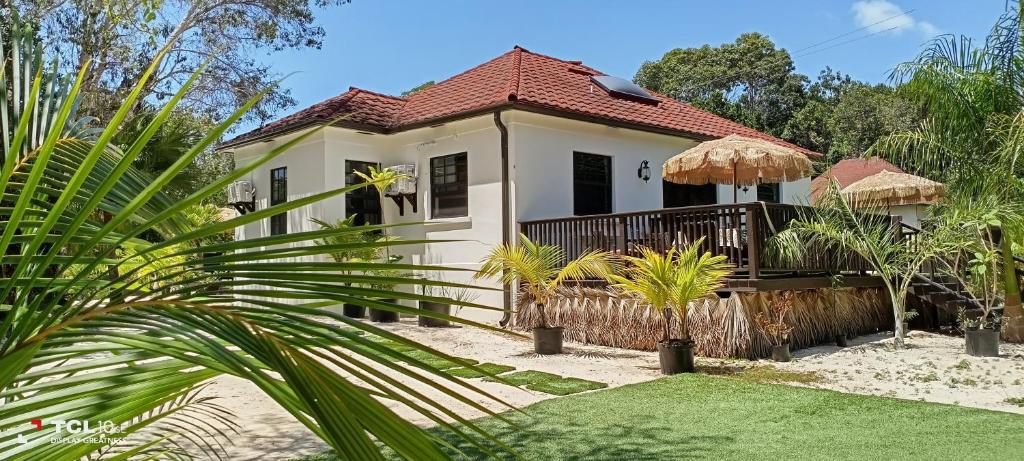 una casa en la playa con una palmera en The Pilot House, en Rock Sound