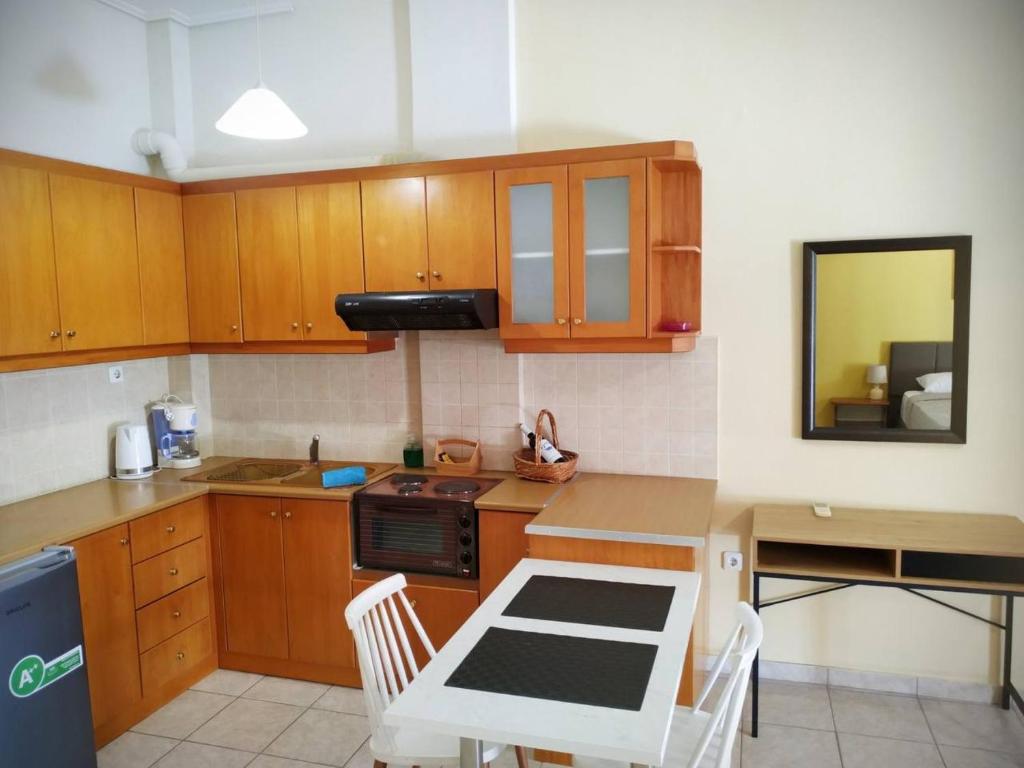 A kitchen or kitchenette at OSCAR STUDIO KALAMATA city centre