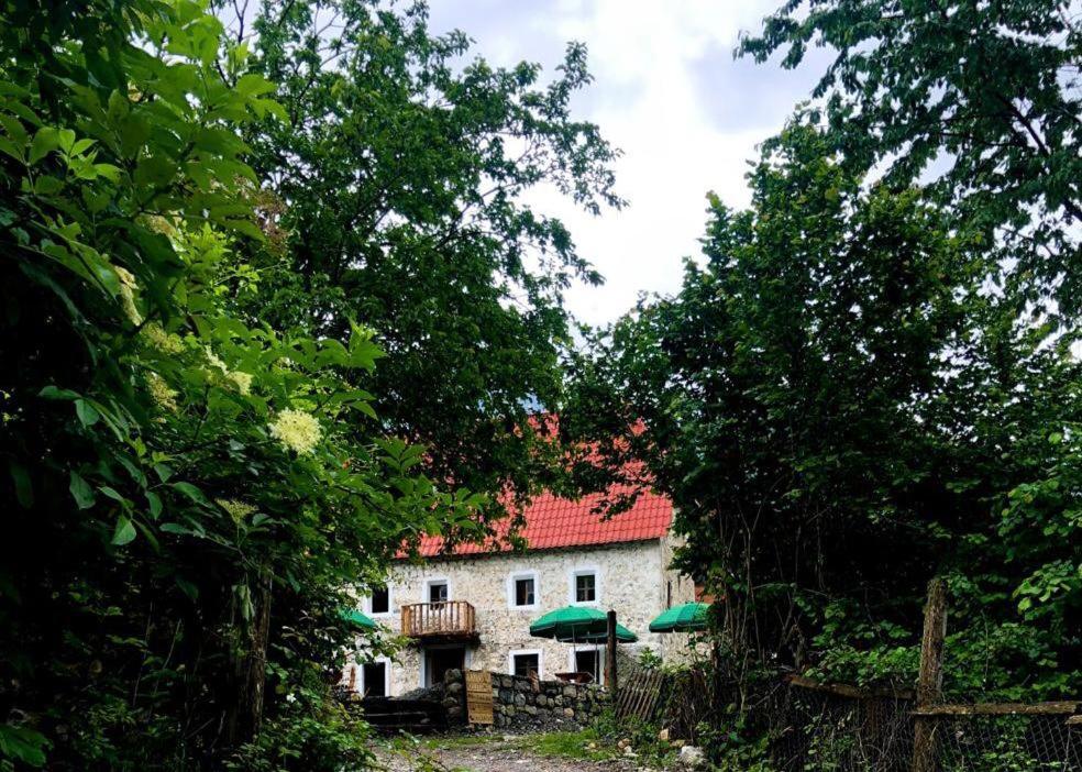 Casa blanca con techo rojo y árboles en Guesthouse Kujtimi, en Theth
