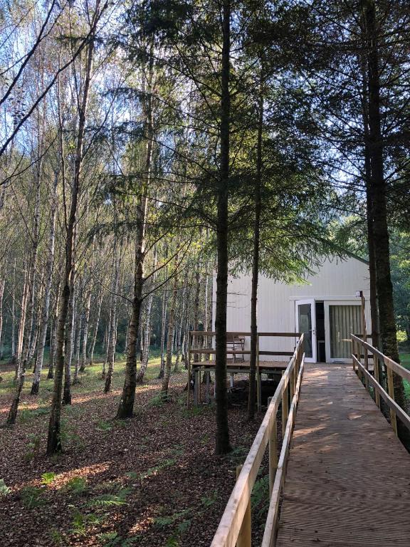 Cabanas da Ulla - Cabaña De 1 Dormitorio