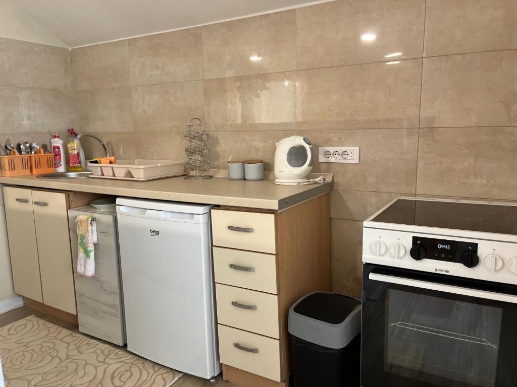 Apartment Helena Airport - 5