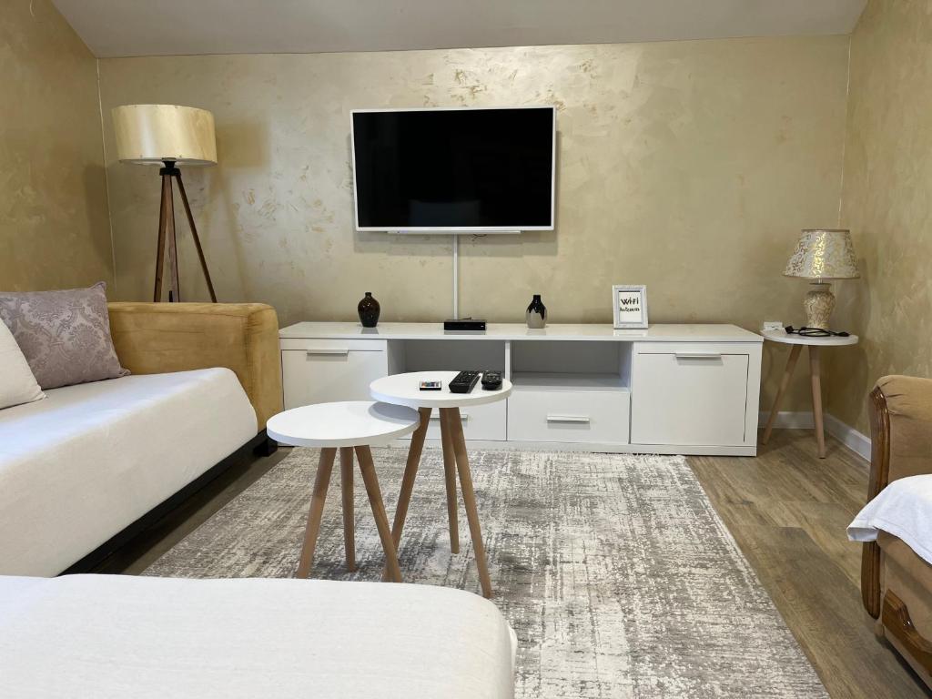 Apartment Helena Airport - 1