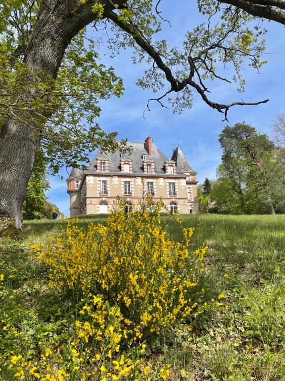una vecchia casa in un campo con fiori gialli di Château de Praslins a Nogent-sur-Vernisson