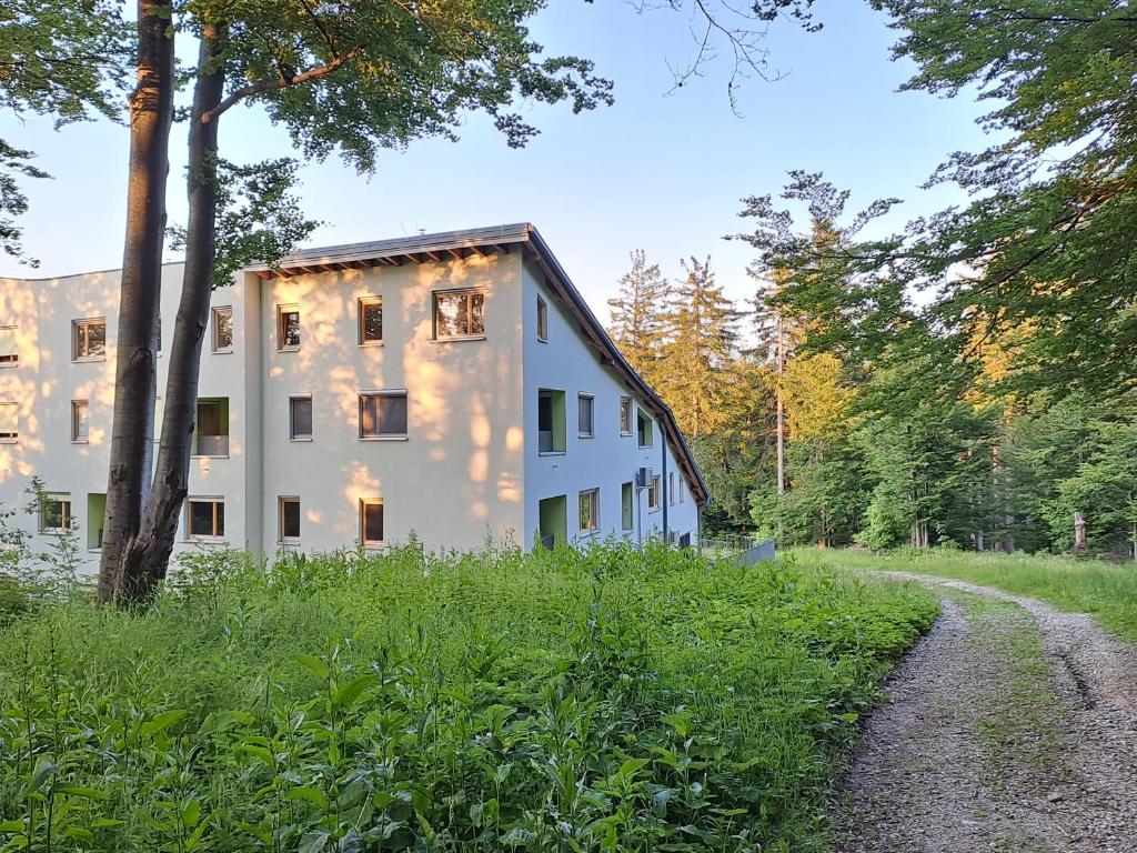 un edificio blanco en medio de un bosque en Apartment Alpina, en Hočko Pohorje