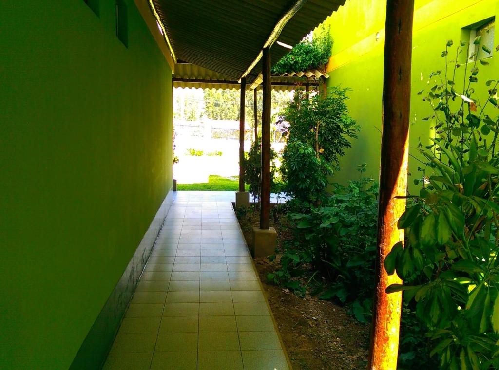 Zahrada ubytování Hotel COMTUCAR