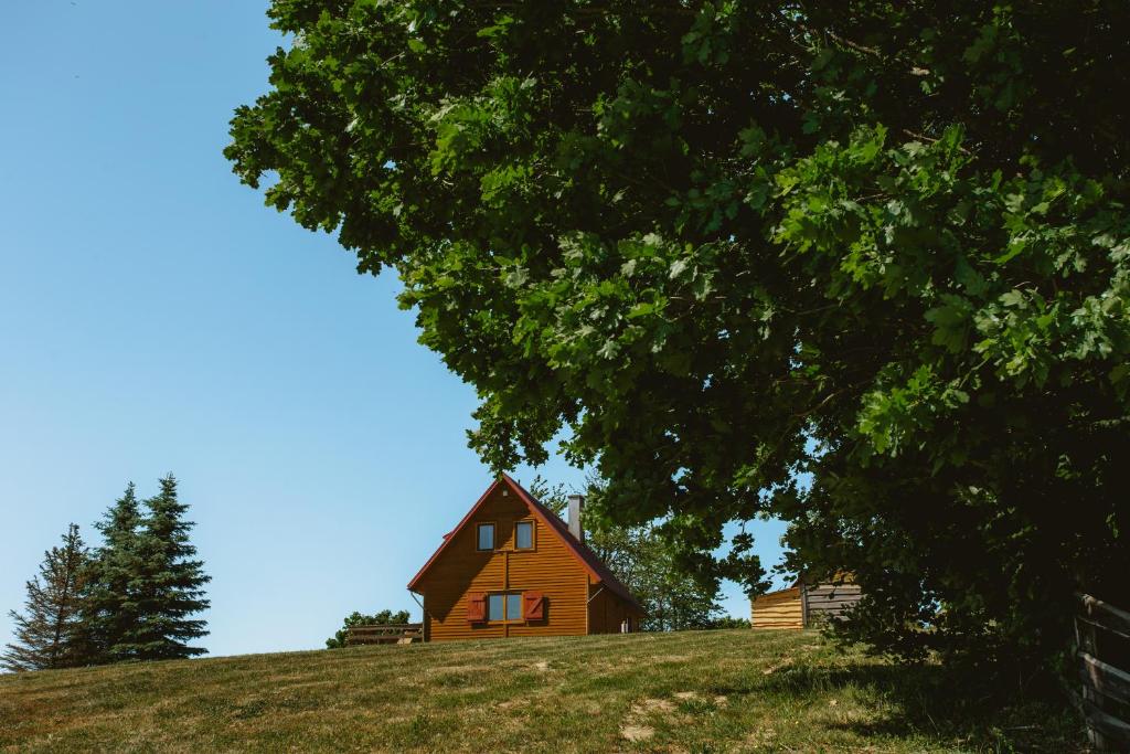 Příroda nedaleko prázdninového domu