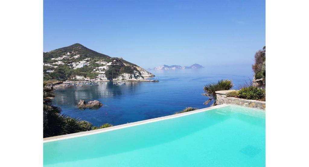 a swimming pool with a view of the ocean at Maridea - La Caletta - Luxury Villa in Ponza