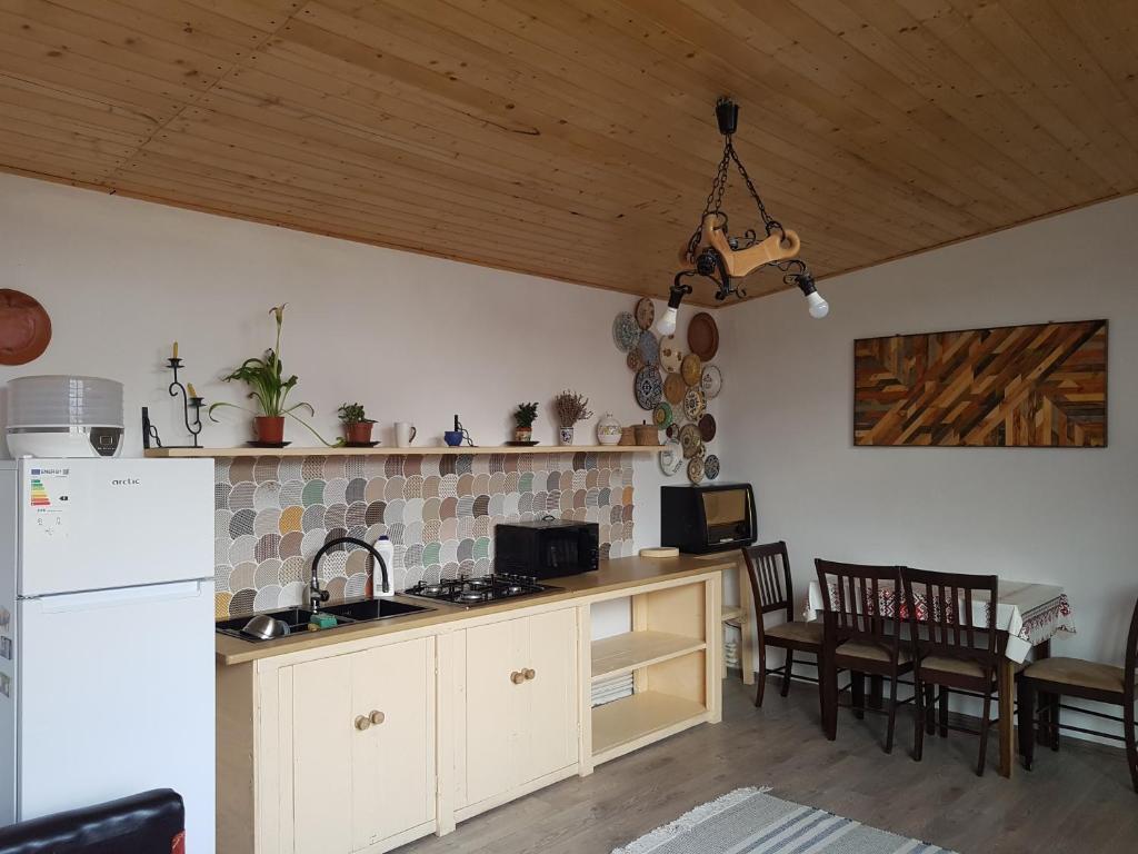 Kuchyň nebo kuchyňský kout v ubytování Casa CeDar