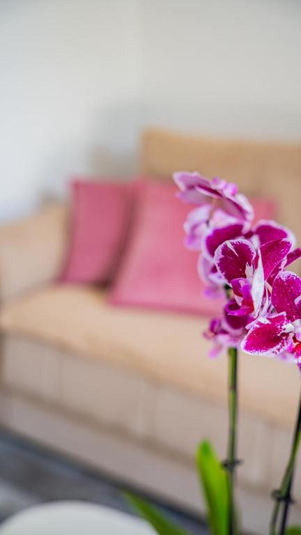 Apartments Edera - 10