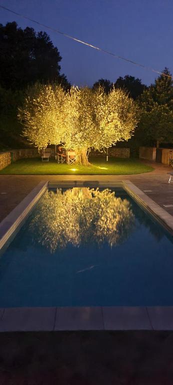 ein Schwimmbad mit Lichtern in einem Hof in der Nacht in der Unterkunft Il Gigante Che Dorme in Castel Castagna