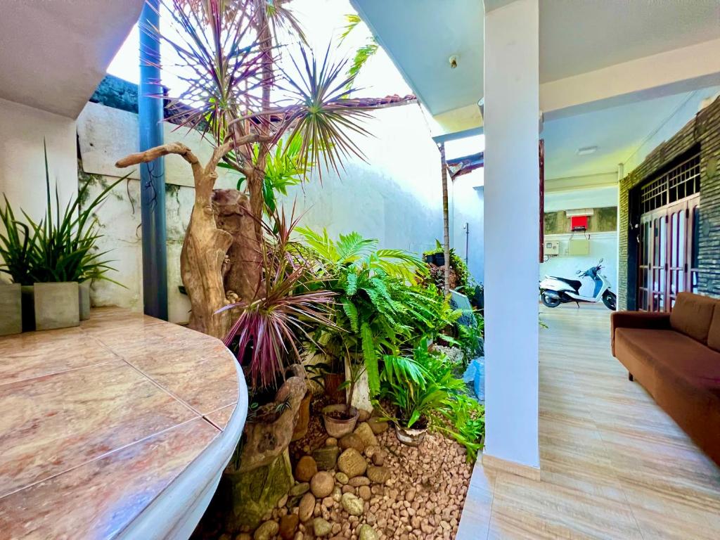 Zimmer mit einem Tisch mit Pflanzen in der Unterkunft Hotel Dorset in Negombo