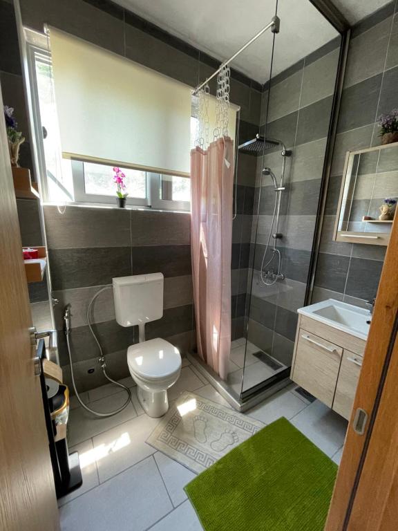 een badkamer met een douche, een toilet en een wastafel bij Glass house in Ulcinj