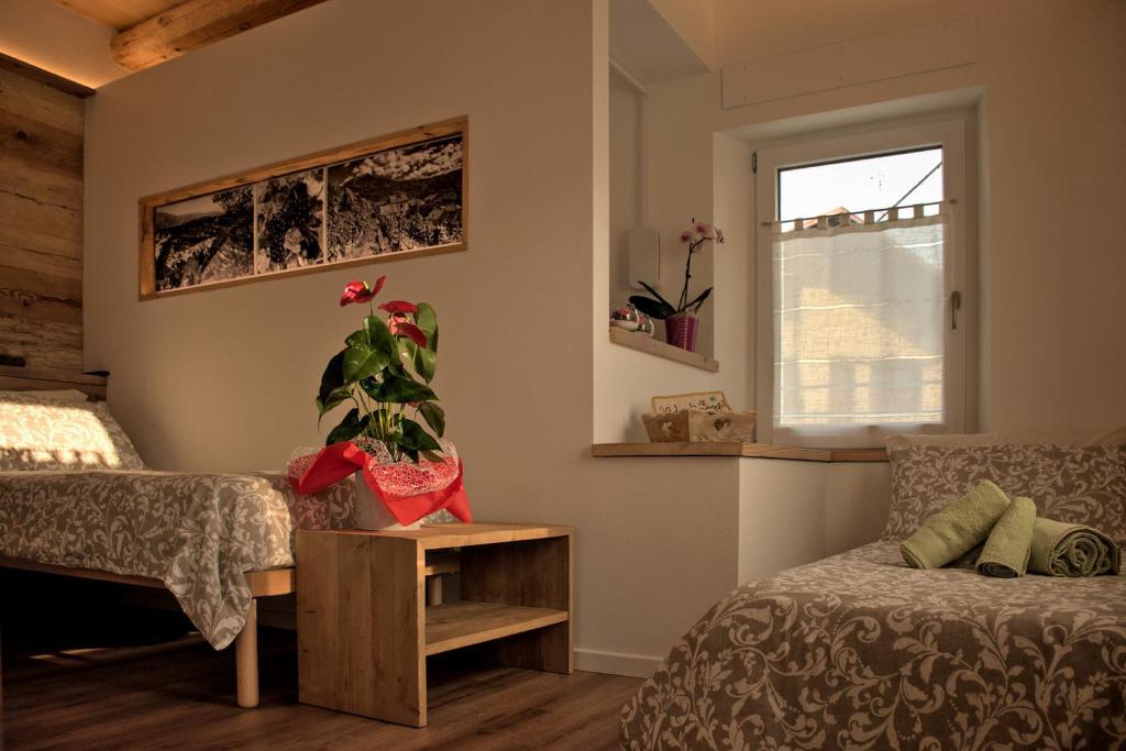 Nido di Faggio - Habitación Económica Con 2 Camas Individuales