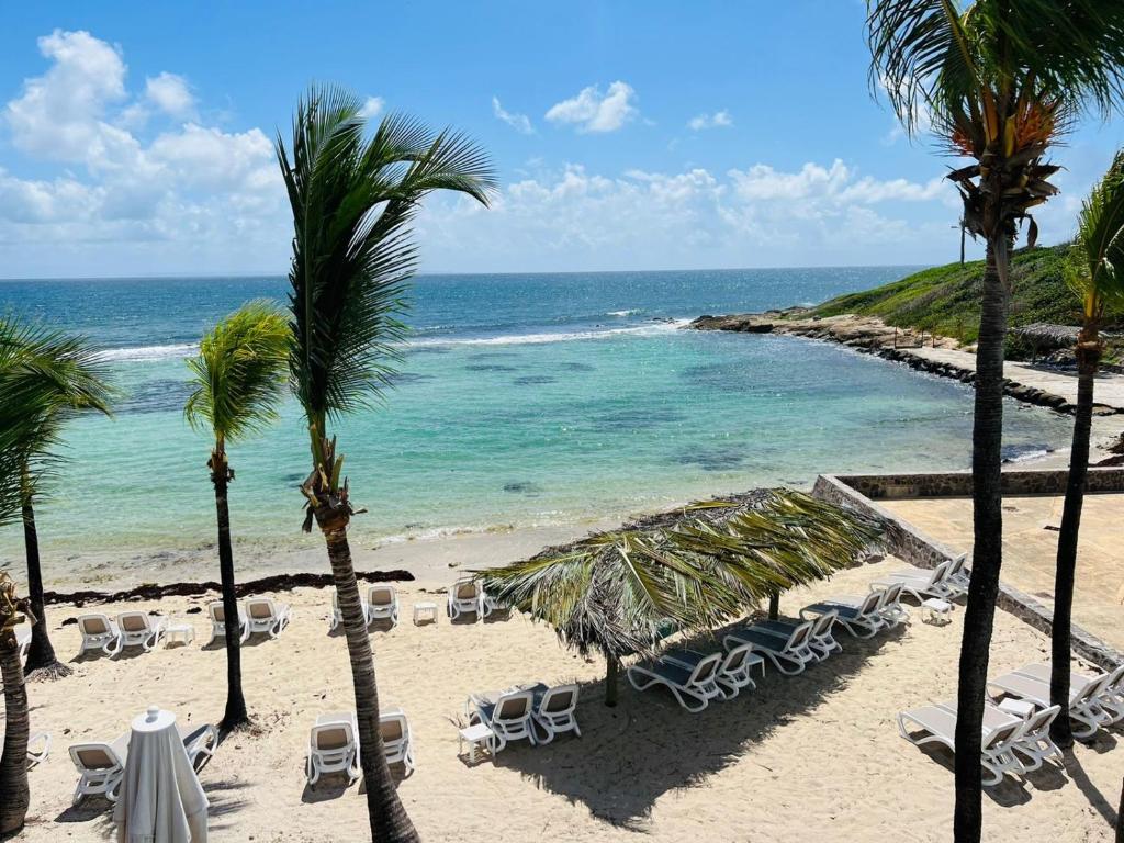 ein Strand mit Liegestühlen, Palmen und dem Meer in der Unterkunft Bluewave in Saint-François