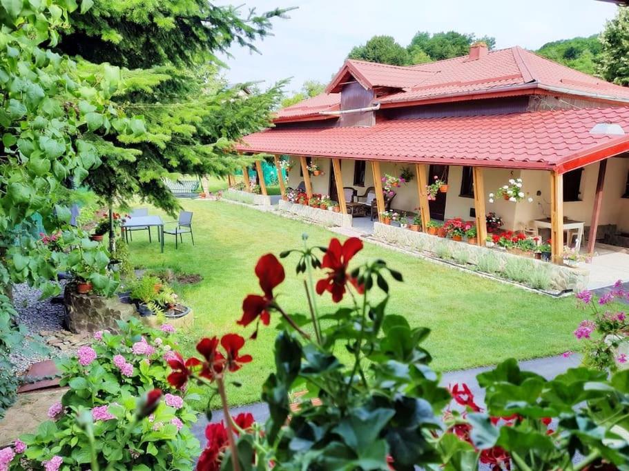 uma casa com um jardim com flores vermelhas no quintal em Private House with Garden 