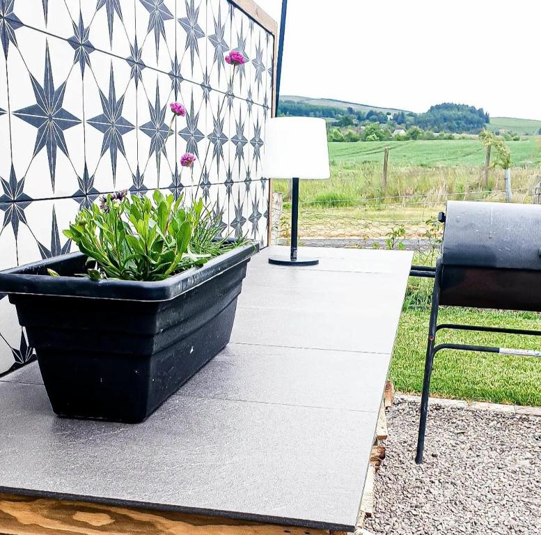 Zahrada ubytování Romantic Rural Lodge - Private Outdoor Kitchen & Cosy Covered Lounge - Perth and Kinross - Hot Tub not included