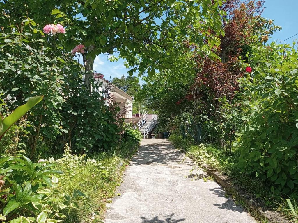 Zahrada ubytování Nunu's Guesthouse