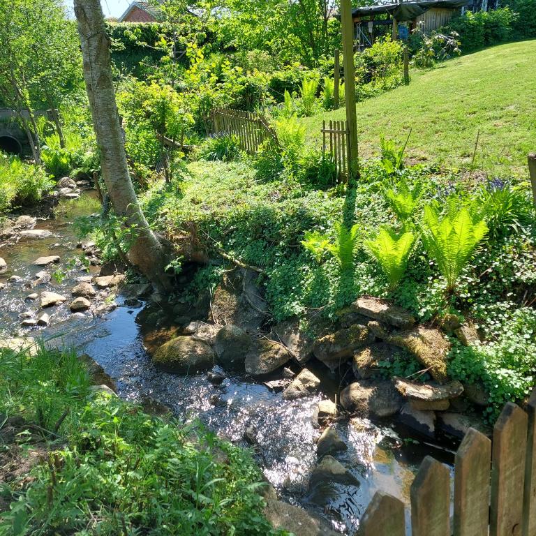 a stream in a garden with rocks and a fence at Villagehome North Jylland in Sindal