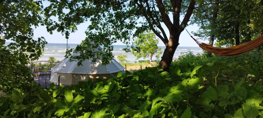 Příroda nedaleko luxury tent