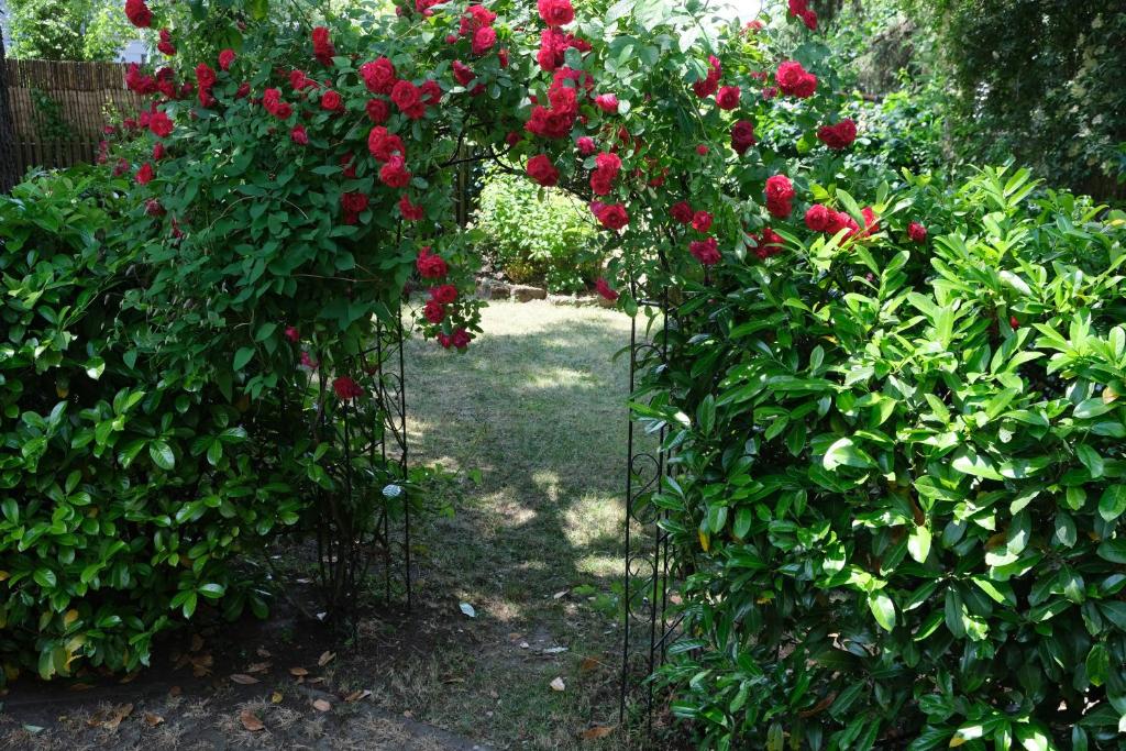 CASA LUXE - 115qm - Stadtmitte - Familienfreundlich - Parkplatz - 5km zum Legoland - 16