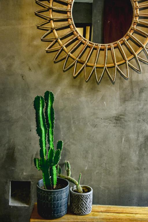 Fotografie z fotogalerie ubytování LOTE4 - LGBTQ Studios v destinaci Playa del Carmen