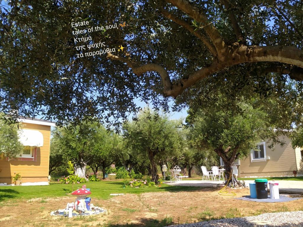 a yard with a house and a tree with a fire hydrant at Bungalows with private pools "Tales of the Soul - Της Ψυχής Τα Παραμύθια" in Anemokhórion
