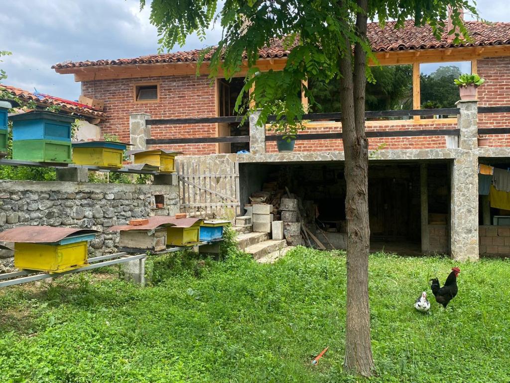 Guest House Hyseni - Image 8