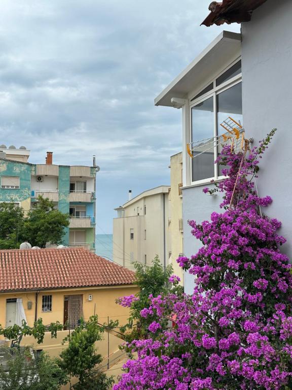 Summer bliss, seaside apartment - Image 9