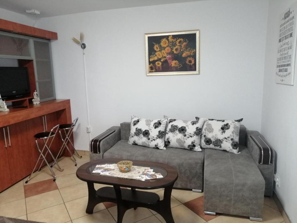 - un salon avec un canapé et une table dans l'établissement Modernul apartament de lângă Castel, à Hunedoara
