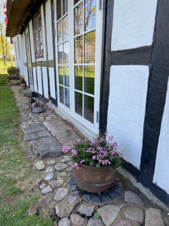 Zahrada ubytování Baekgaarden 3 rooms Apartment - old farm house