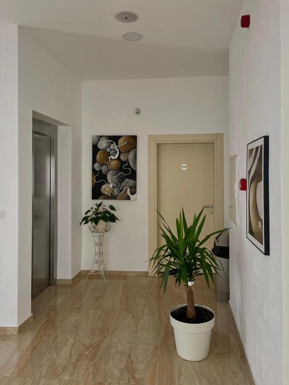 Fotografija u galeriji objekta Hotel Kaligrosh u Sutomoru