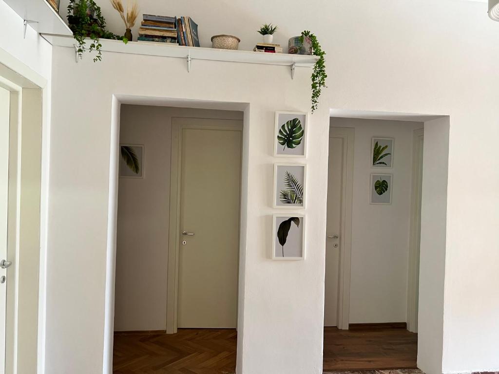 Φωτογραφία από το άλμπουμ του Trip'n'Hostel Chill Zone στα Τίρανα