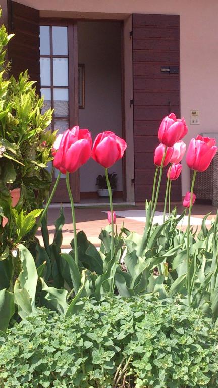 Zahrada ubytování B&B Zia Maria