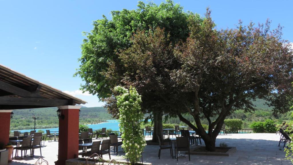 a tree with chairs and a table and a tree at Auberge des Salles in Les Salles-sur-Verdon