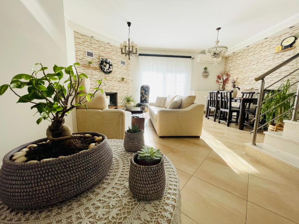 een woonkamer met een tafel met planten erop bij D & J Luxury House in Nea Kalikratia