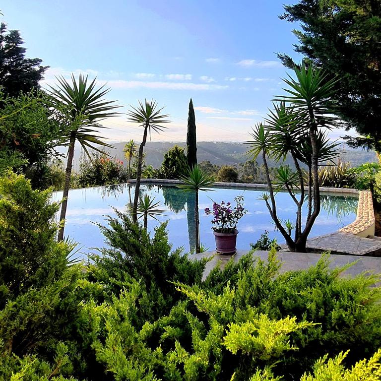 a garden with a pool with palm trees and plants at CASA PAVÃO (SALGADINHO - SELÃO DA EIRA) in São Teotónio