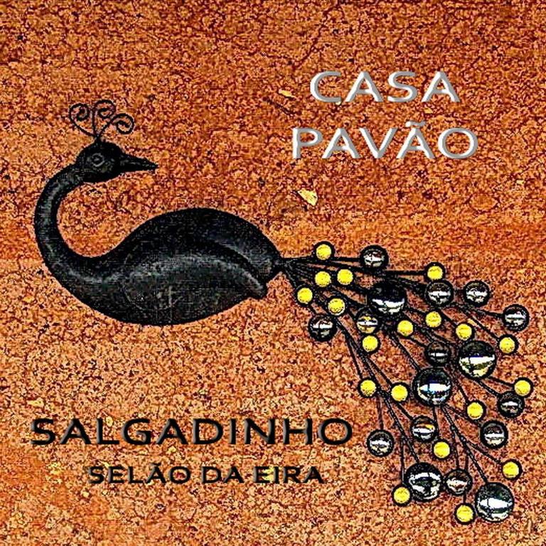 una pintura de un pájaro negro en el suelo en CASA PAVÃO (SALGADINHO - SELÃO DA EIRA), en São Teotónio