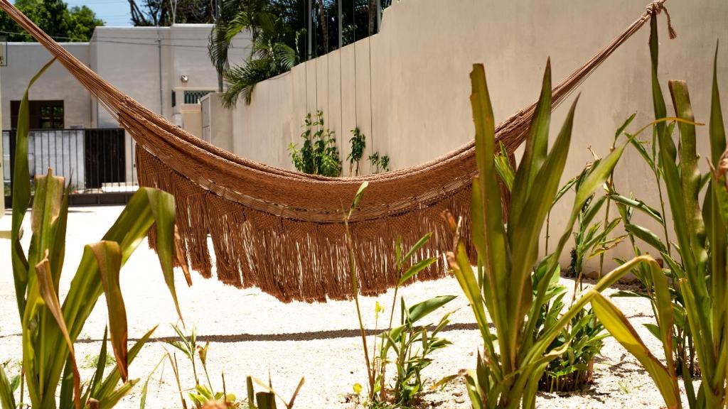 Zahrada ubytování ConSentido Tamarindo