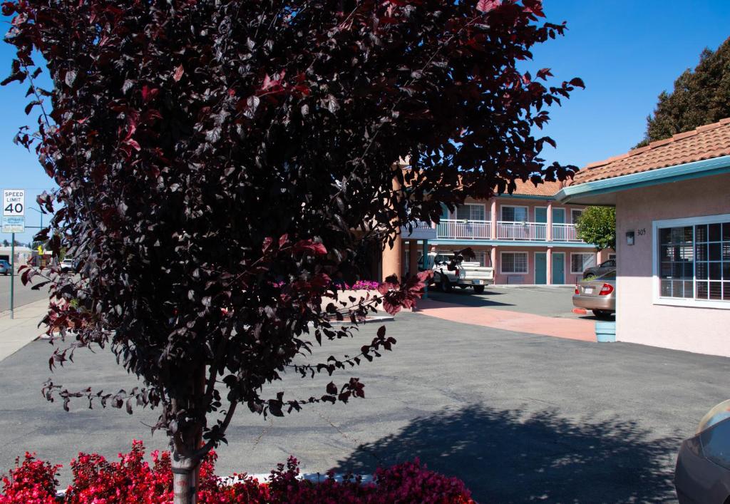 Discovery Inn photo