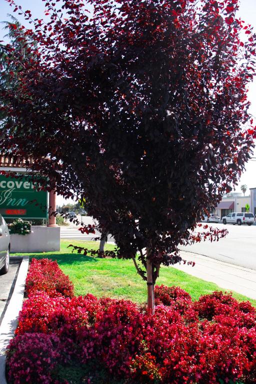 Discovery Inn photo