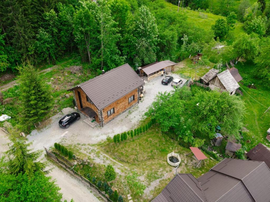 een luchtzicht op een huis met een tuin bij Cabana Vasc in Borsa