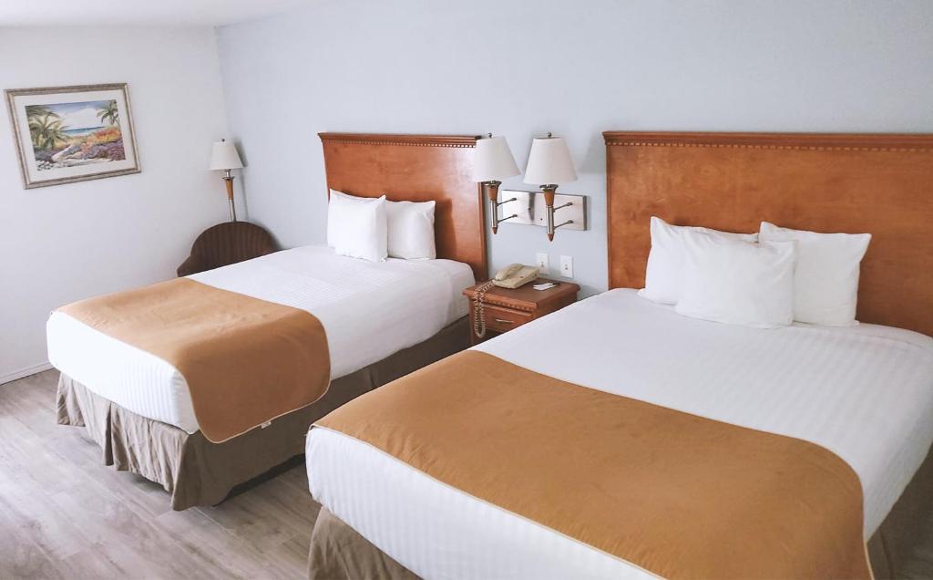 Coratel Inn & Suites by Jasper New Braunfels IH-35 EXT 189 - Sala Regina Standard
