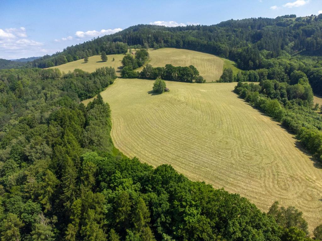 Příroda nedaleko apartmánu