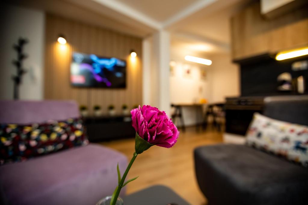 una flor rosa en un jarrón en una sala de estar en Charming Apartment in Shtip's downtown, en Štip