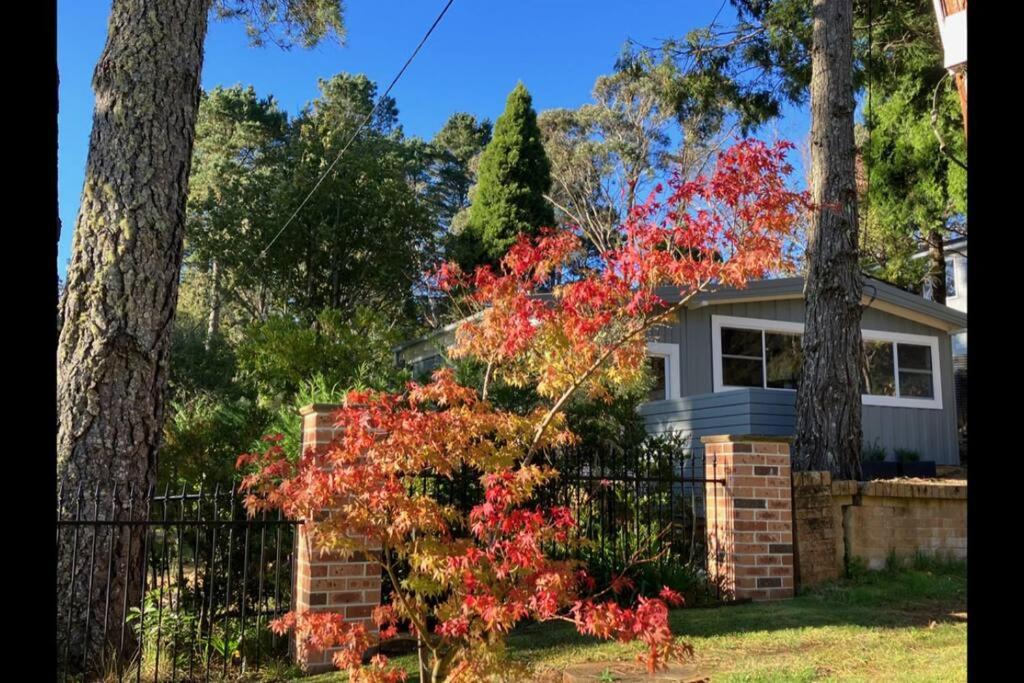 a house with a red tree in front of a fence at Sunflower House, a cozy cabin at Lake Wentworth in Wentworth Falls