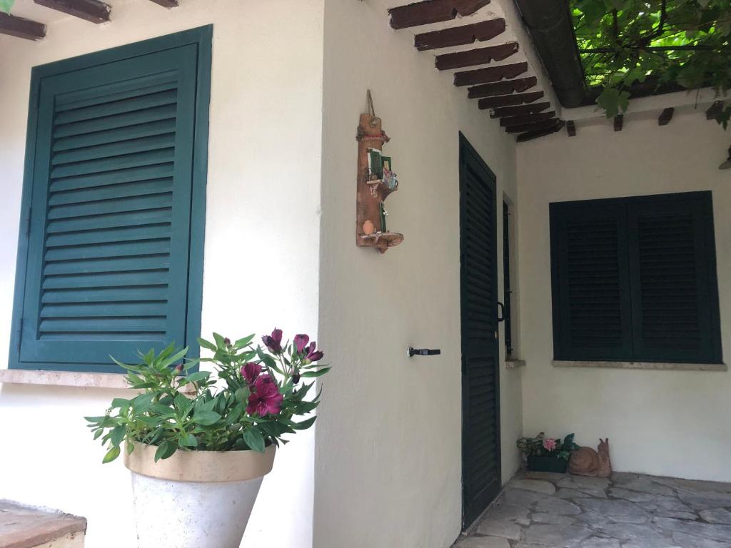 una casa con due porte e una pianta in un vaso di B&B Uva Fragola a Perugia