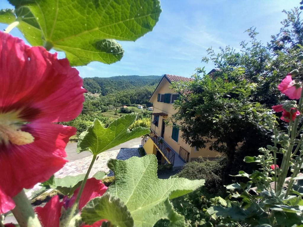a view of a house from a garden with flowers at La valle fiorita in Soviore