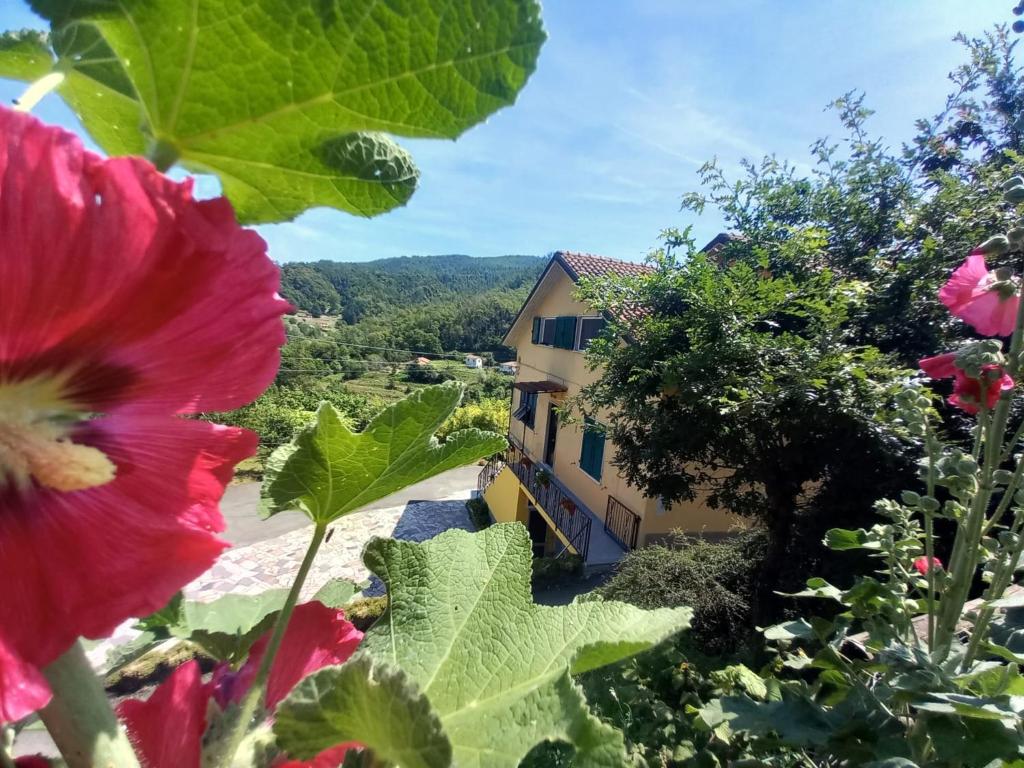 La valle fiorita