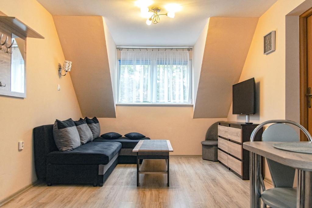 TV a/nebo společenská místnost v ubytování Sztil - Apartamenty i drewniane domki