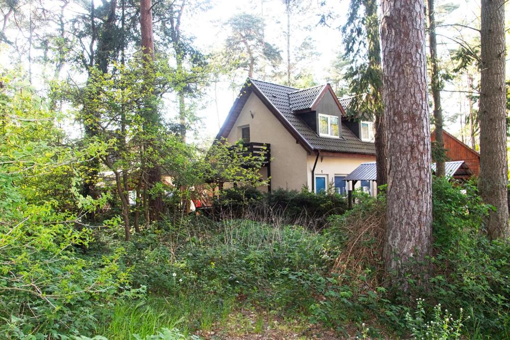 Zahrada ubytování Sztil - Apartamenty i drewniane domki